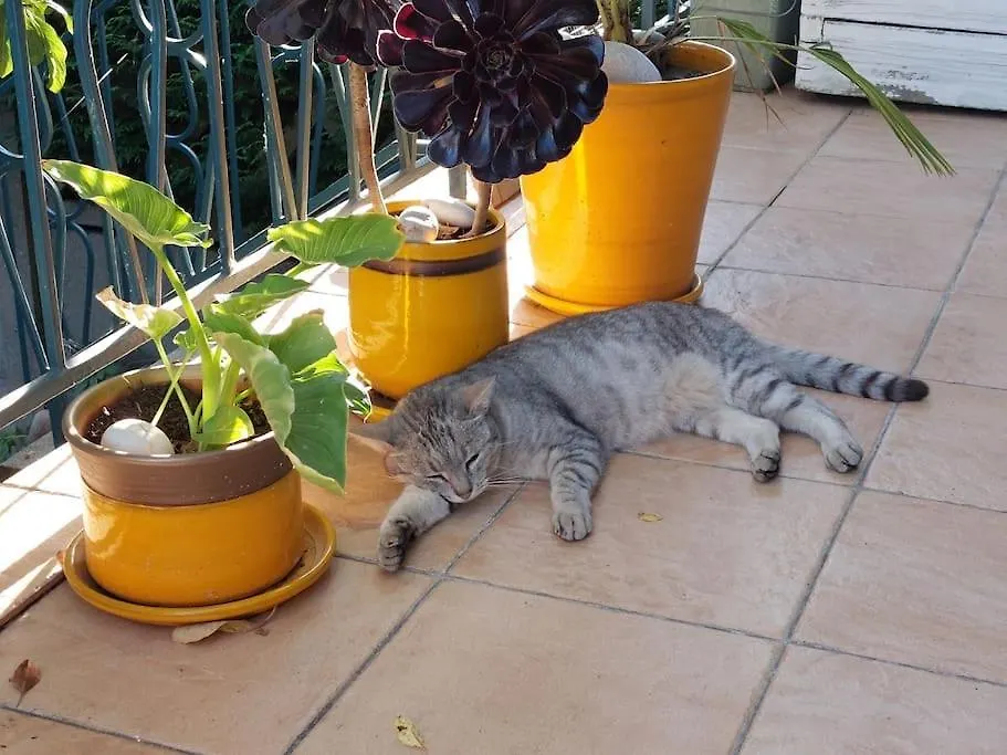 Chez Moi Villa Rennes